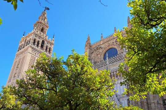 Catedral de Sevilla. Foto: ICP
