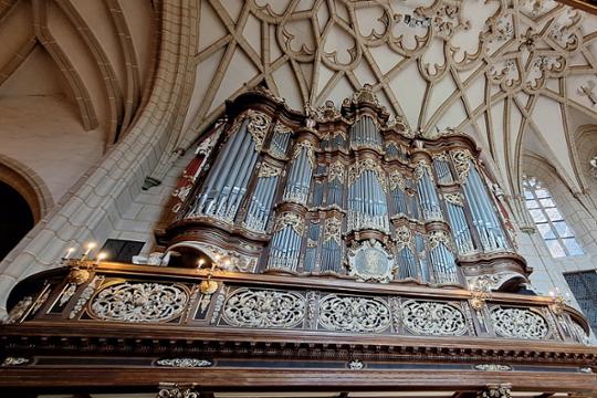 Trost Orgel Schloss Altenburg