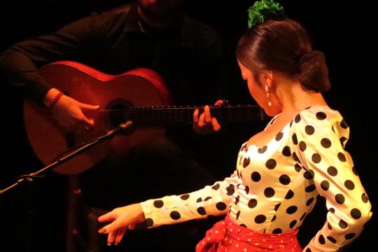 ©Teatro Flamenco Triana